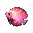 Pink Saddleback Angelfish