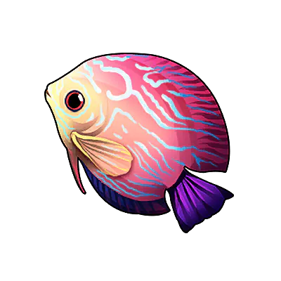 Peppermint Angelfish