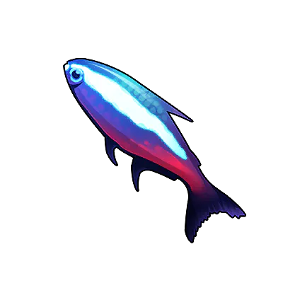 Neon Tetra