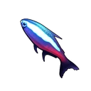 Neon Tetra