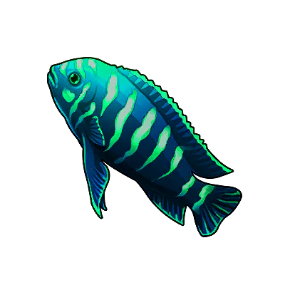 Emerald Flame Angelfish