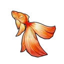 Betta