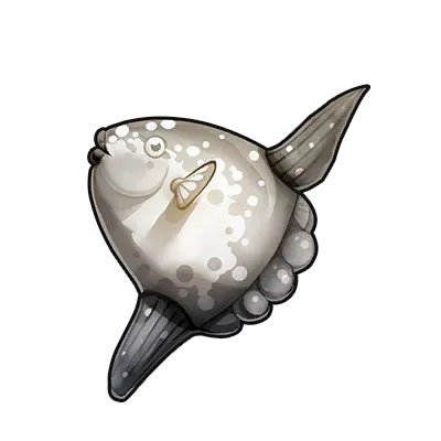 Sunfish