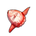 Red Sunfish
