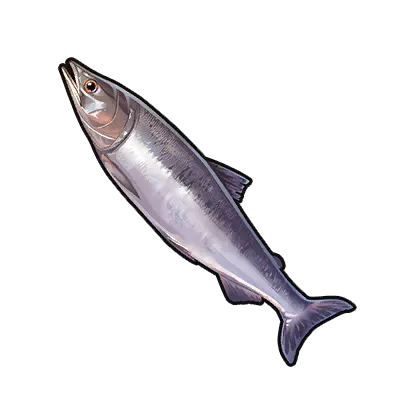 Salmon