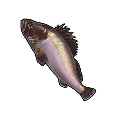 Flounder