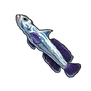 Blue-spotted Fish