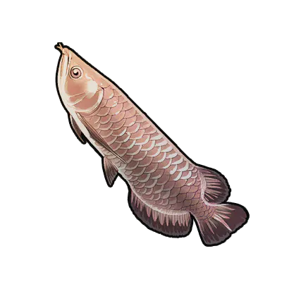 Golden Arowana