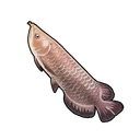 Golden Arowana