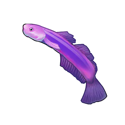 Whalehead Fish
