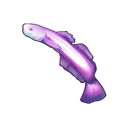 Indigo Whalehead Fish