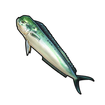 Mahi-mahi