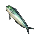 Mahi-mahi
