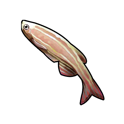 Underwater Rainbow