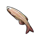 Underwater Rainbow