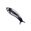 Black Ghost