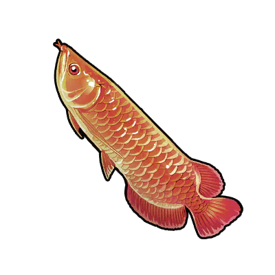 Red Arowana