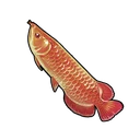 Red Arowana