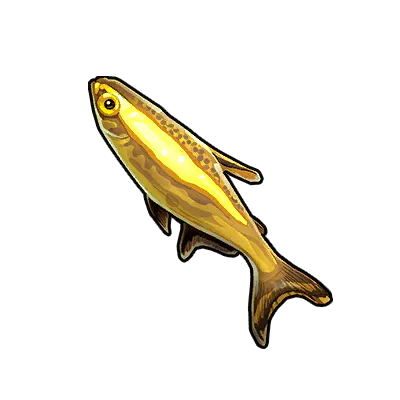 Payara