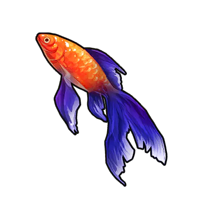 Calico Goldfish