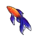 Calico Goldfish
