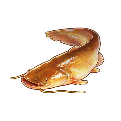 Amber Catfish