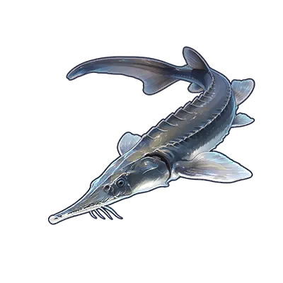 Frost Sturgeon