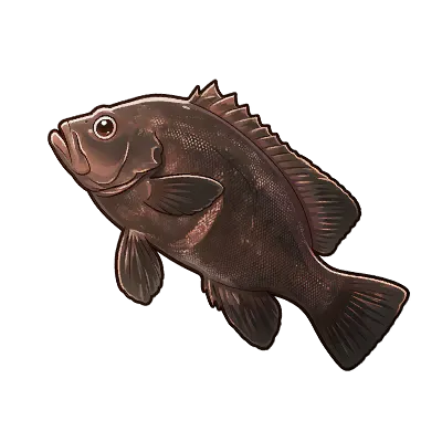 Blackspot Flounder