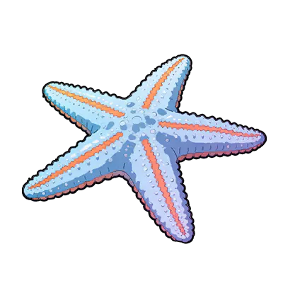 Starseeker