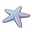 Starseeker
