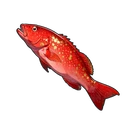 Astral Spotfin