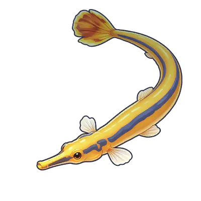 Silvershine Pipefish