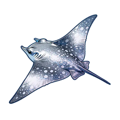 Midnight Ray