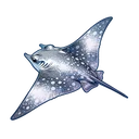 Midnight Ray