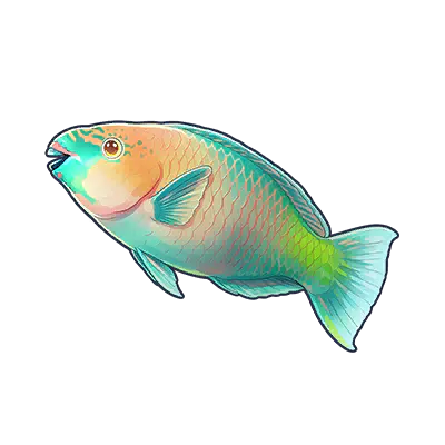 Green Parrotfish