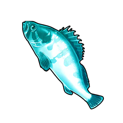 Blue-striped Grouper