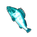 Blue-striped Grouper