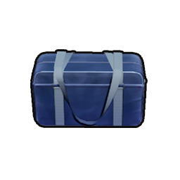 School Uniform Bag
