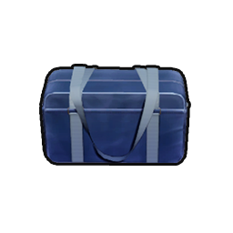 School Uniform Bag