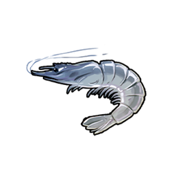 Shrimp Bait