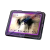 Blurred Silhouette