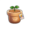 Surprise Plant
