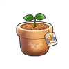 Surprise Plant